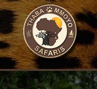 thaba mmoyo safaris